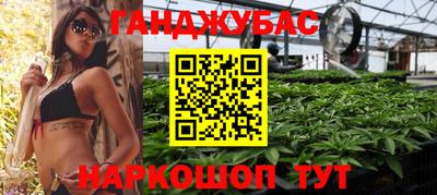 ECSTASY Камышлов