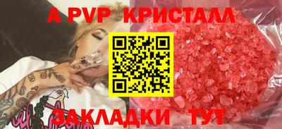 ECSTASY Камышлов