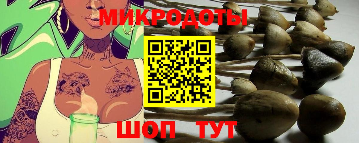 Крымск  Галлюциногенные грибы MAGIC MUSHROOMS  Псилоцибиновые грибы мухоморы  Вход с VPN 